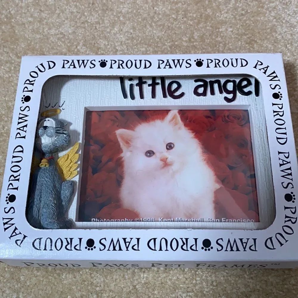 Cat Toy, Grooming and Photo Frame Bundle - Picture 3 of 12